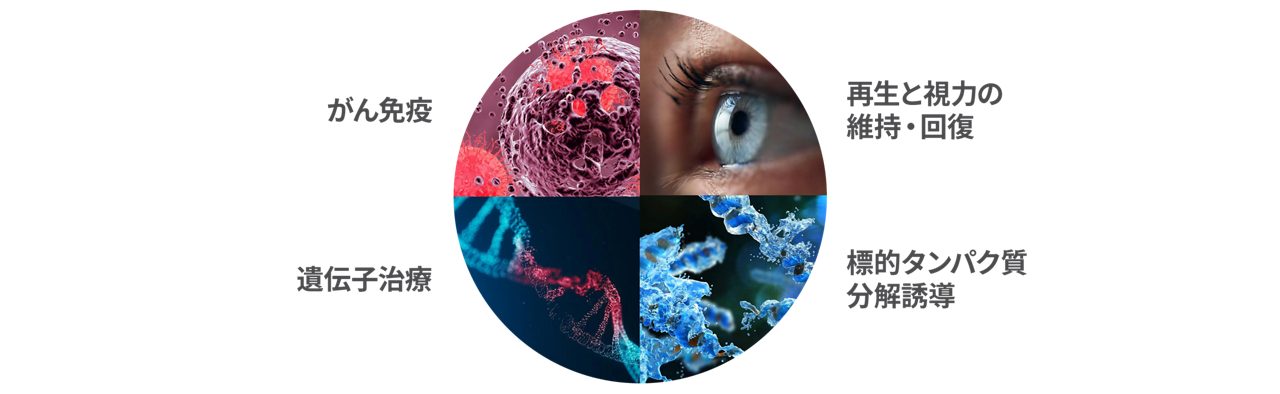 Our four Primary Focuses
