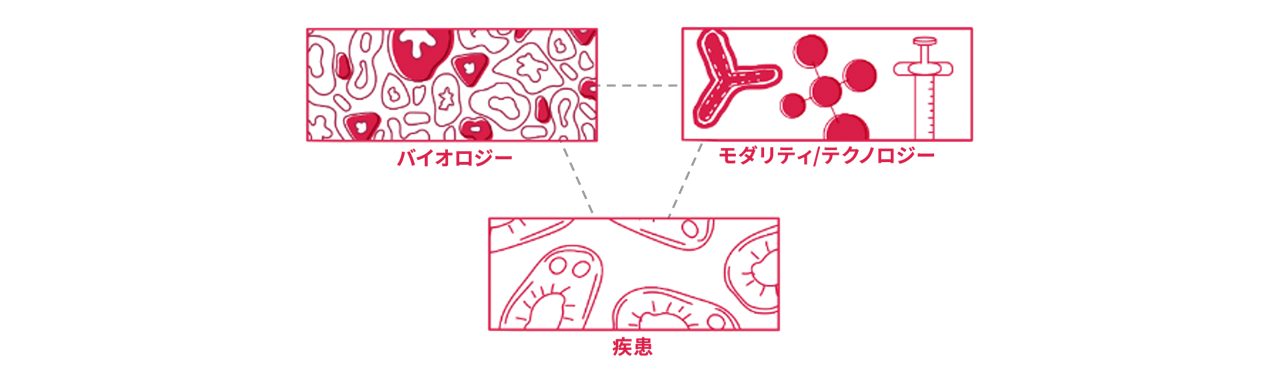 Focus Area Approach