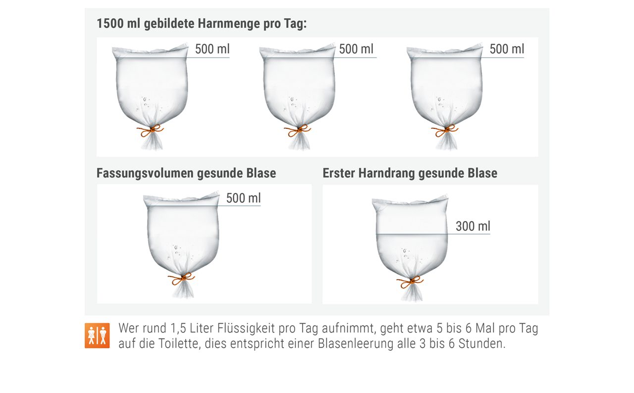 Verstehen_Bladderillustration_Image