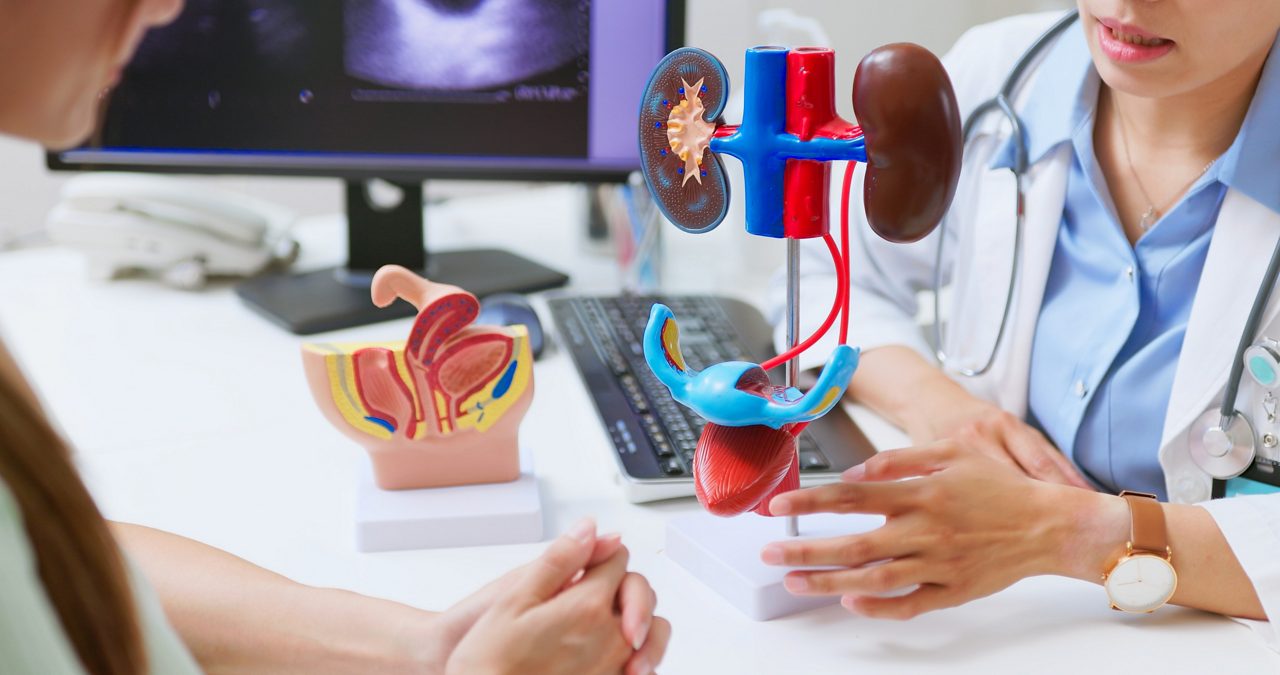 A Healthcare Professional shows a patient a model of a bladder, illustrating Astellas’ commitment to transform urology care. 