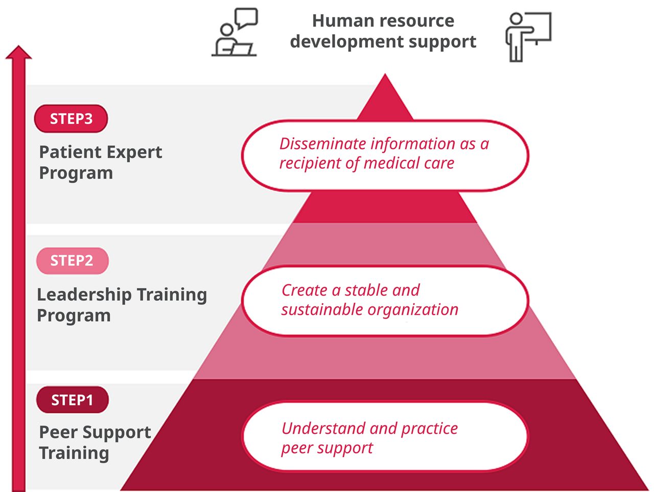 A schematic explains Astellas’ Starlight Partner activities.