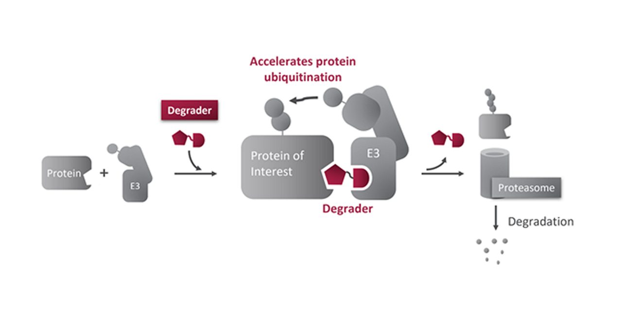 A schematic shows Astellas’ capabilities.