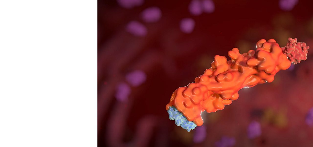 A red cell model illustrates Astellas’ focus on targeting harmful proteins to transform the treatment of ‘undruggable’ diseases.
