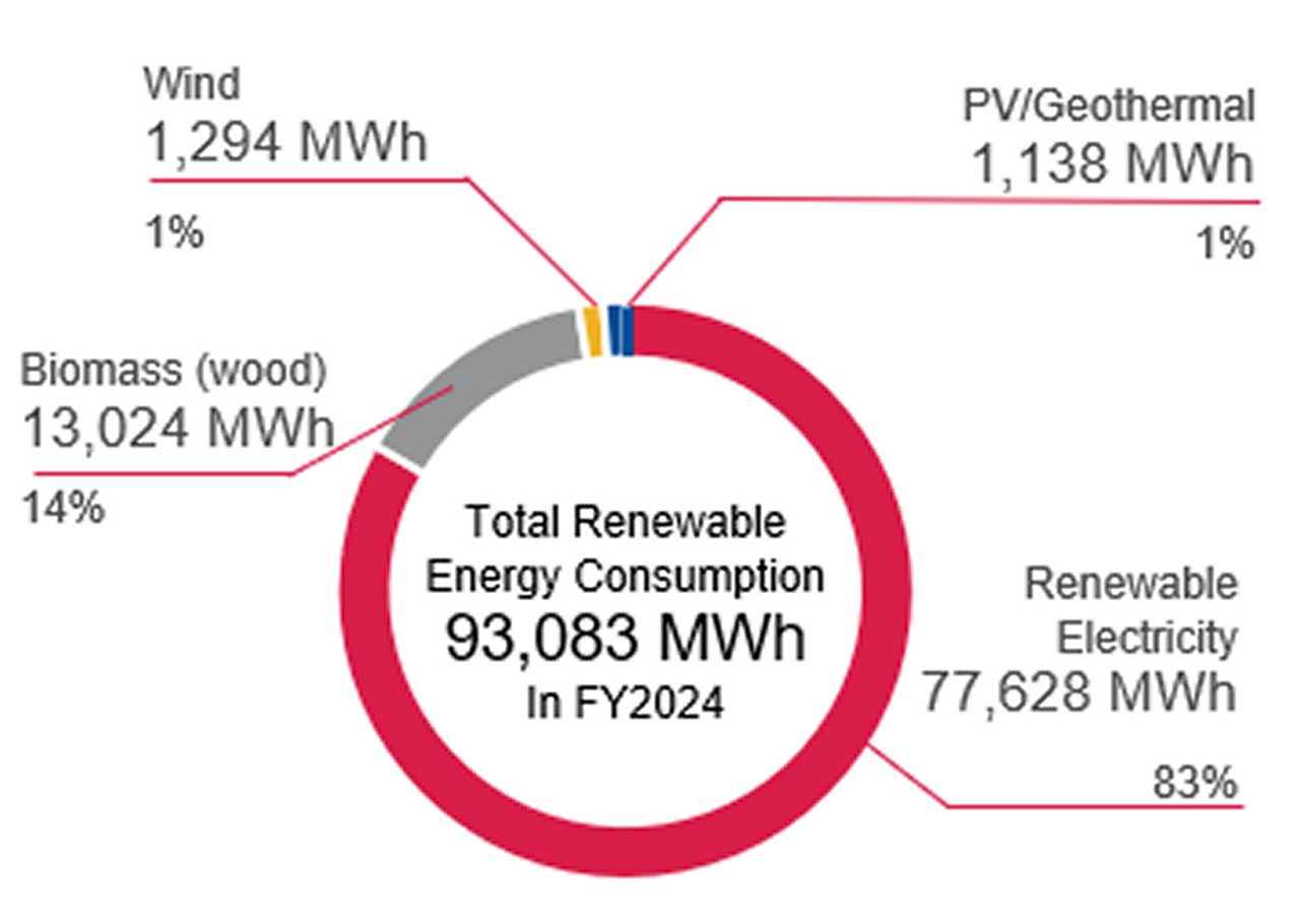 Renewable Energy Consumption