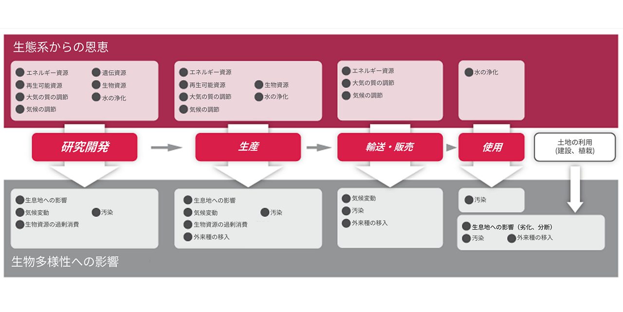 アステラスが持続可能な社会の構築に重点を置いていることに関連した戦略を示す図式です。