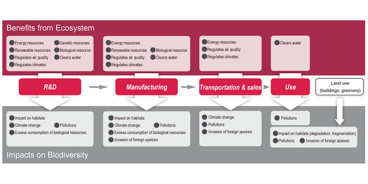 Schematic illustrates a strategy tied to Astellas’ focus on building a sustainable society.