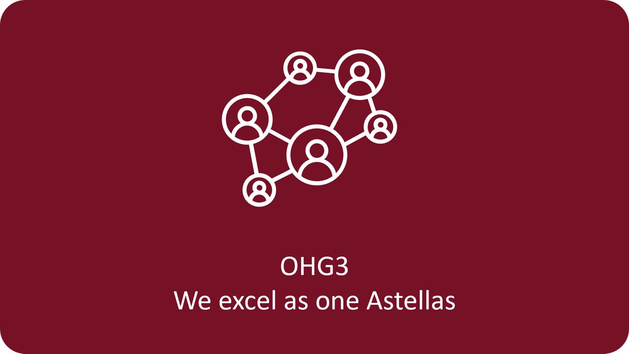 People co-operate effectively, with robust and coordinated execution, to achieve common goals.