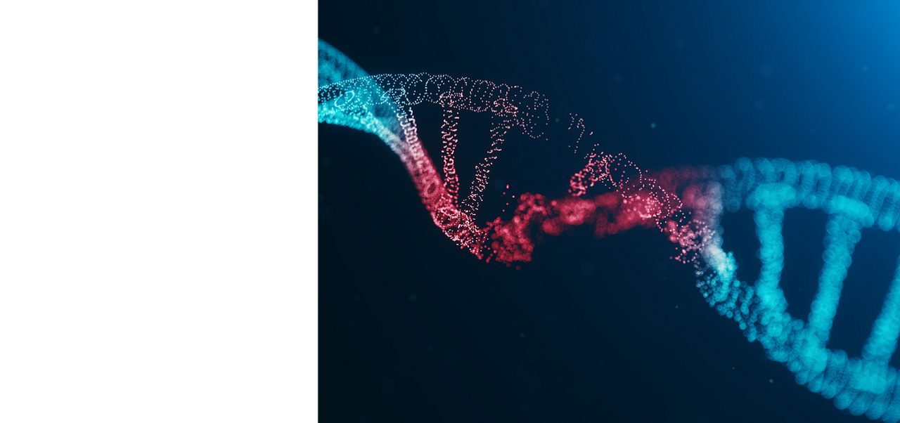 A red cell model illustrates Astellas’ focus on developing genetic medicines.