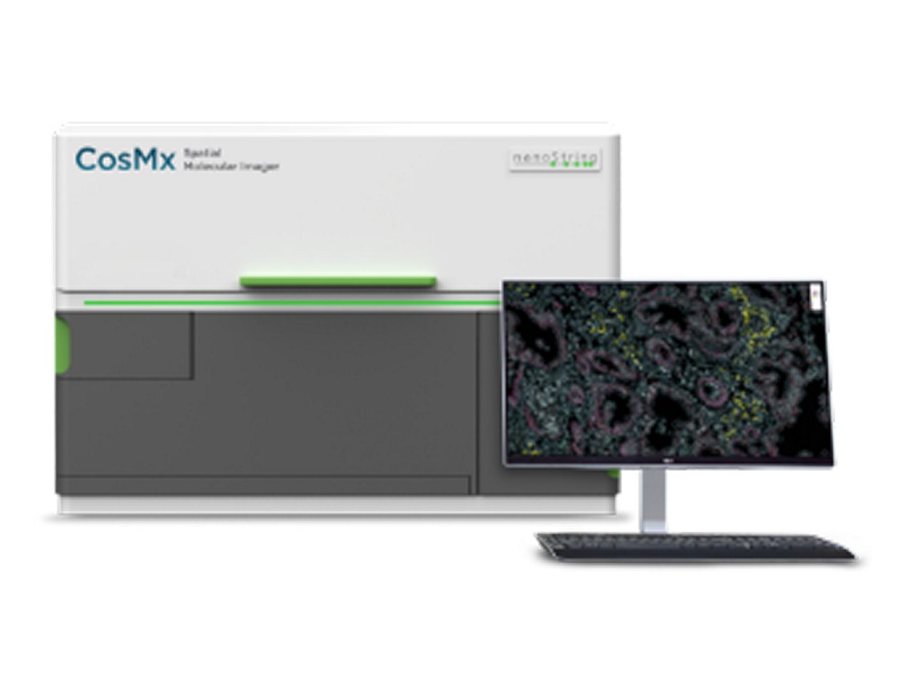 CosMx SMI