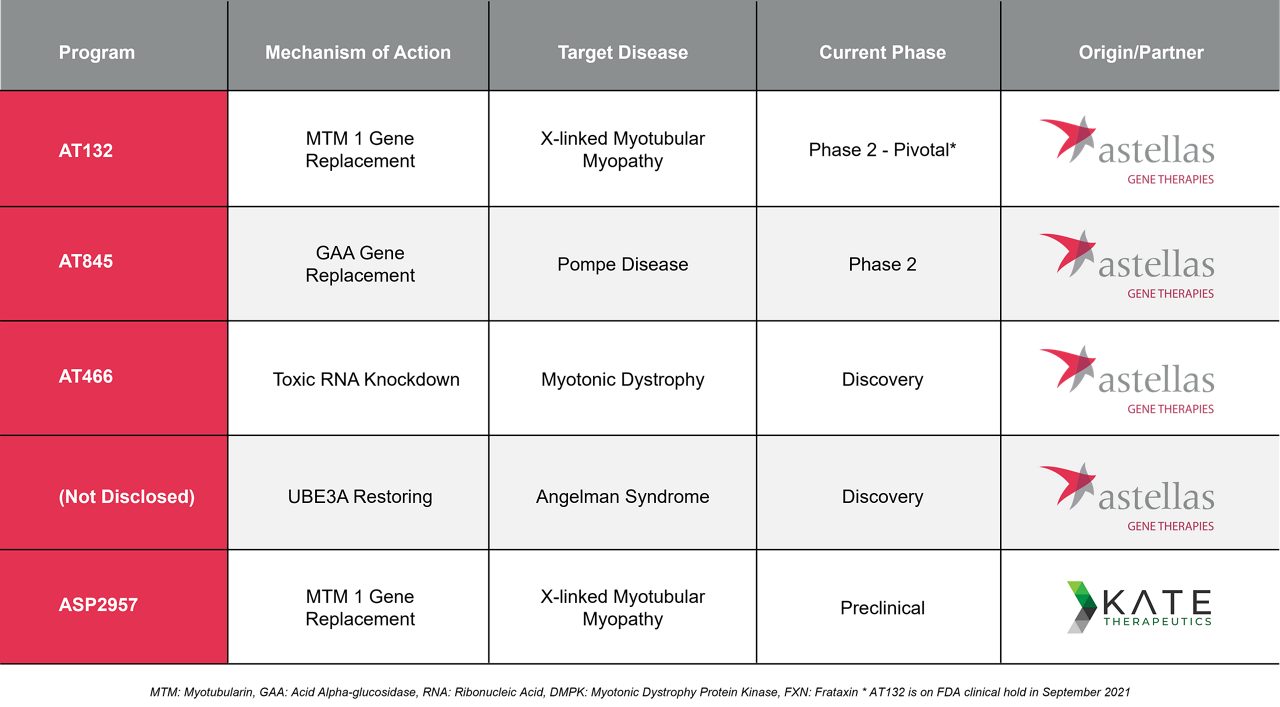 A red cell model illustrates Astellas’ focus on developing genetic medicines. A table illustrates Astellas’ pipeline for Genetic Regulation.