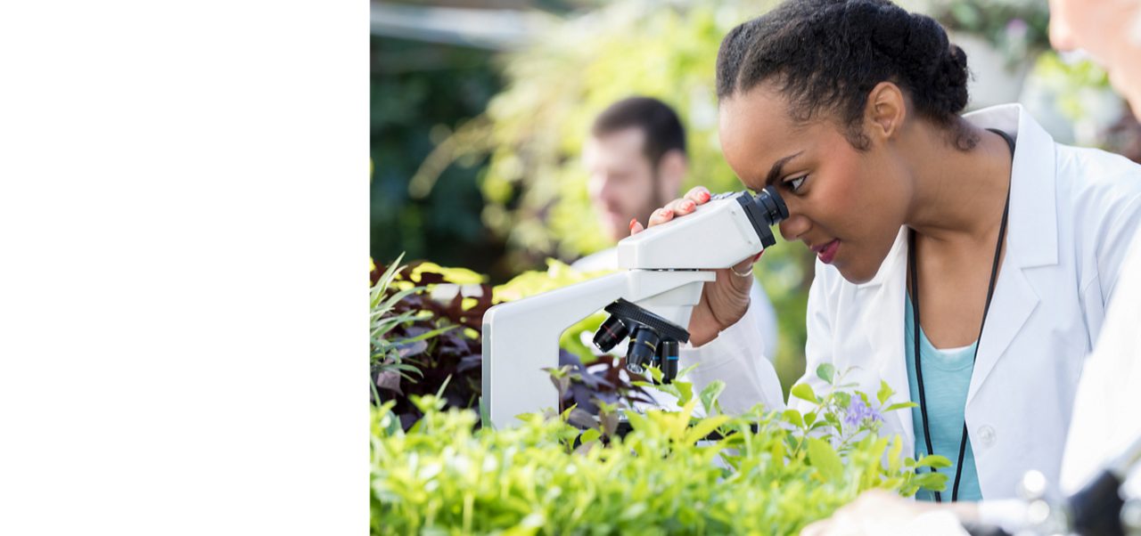 A scientist view samples under a microscope, reflecting Astella’s commitment to fulfill its social responsibilities.