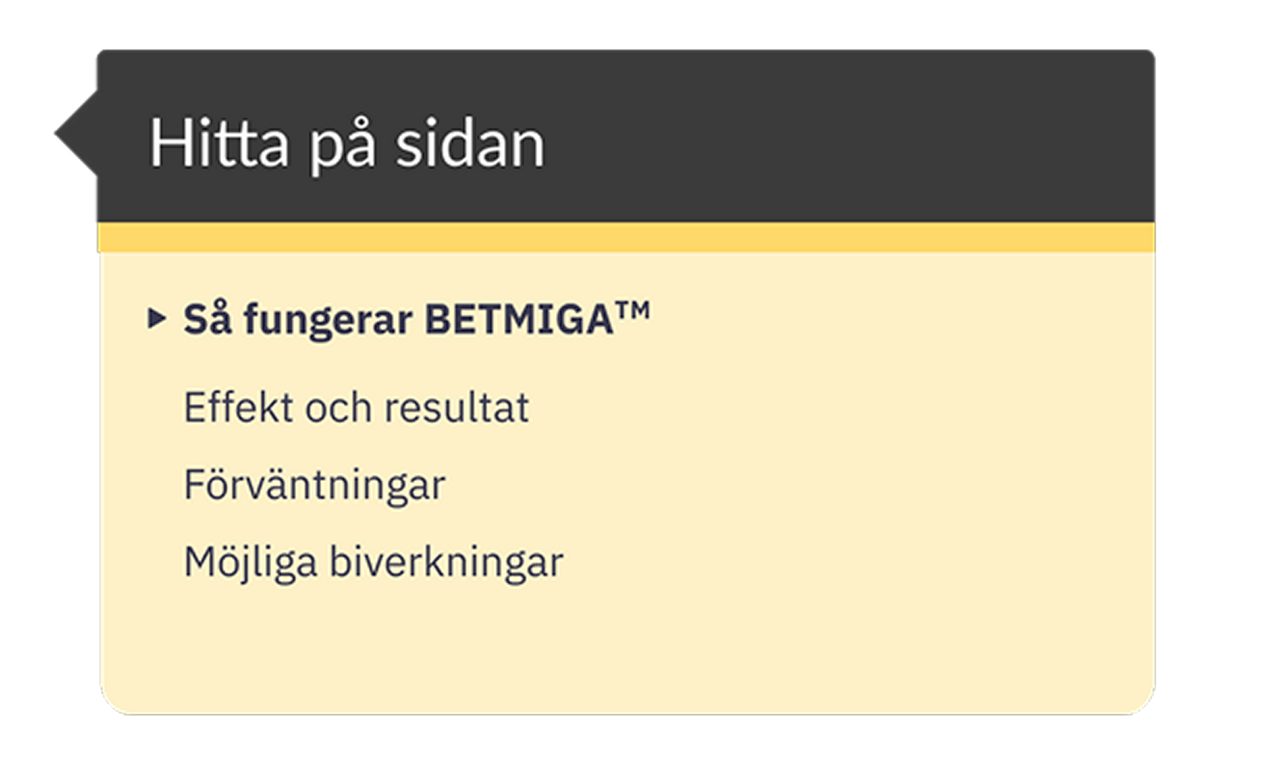 Informationsruta för att navigera på sidan: Så fungerar BETMIGA™