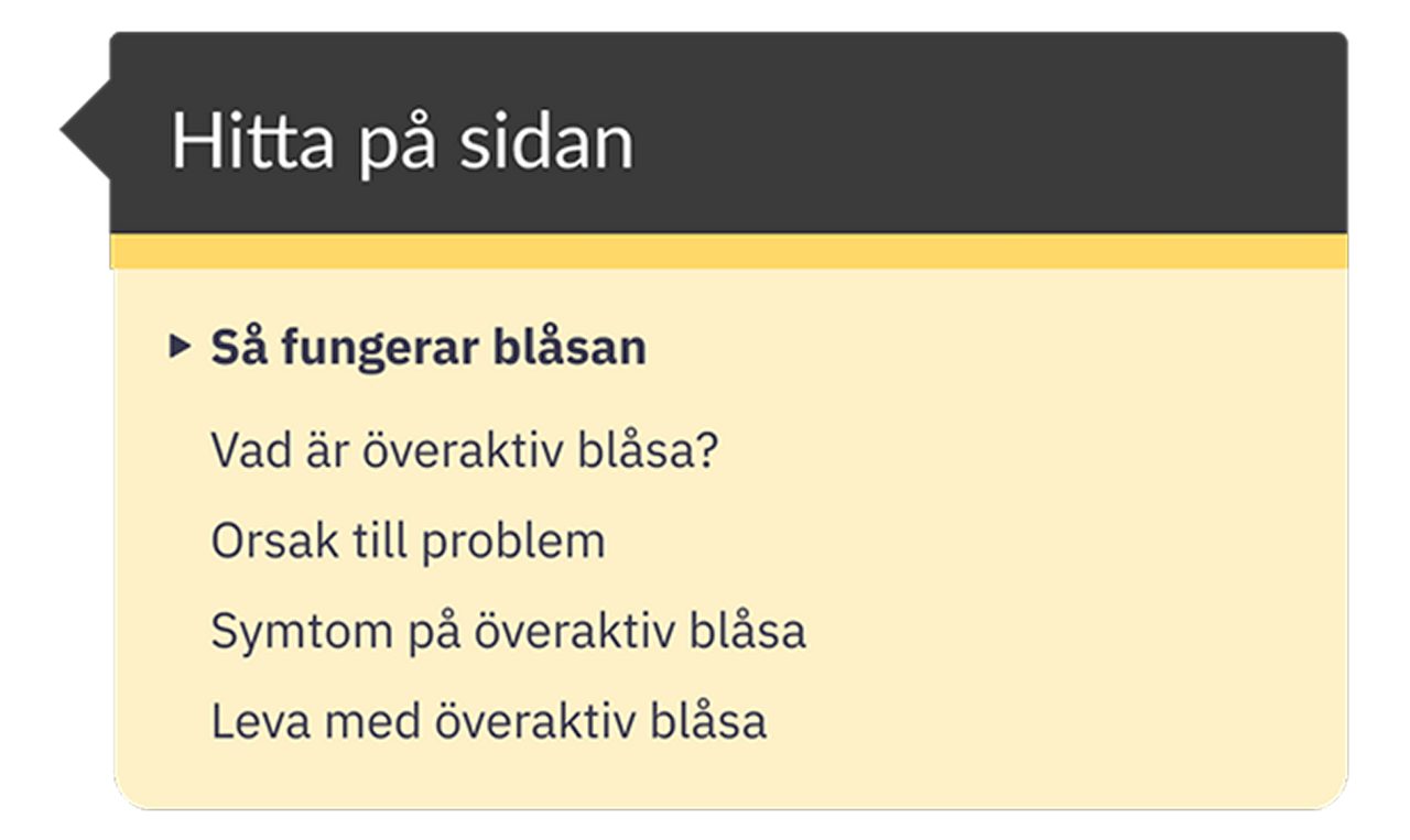 Informationsruta för att navigera på sidan: Så fungerar blåsan