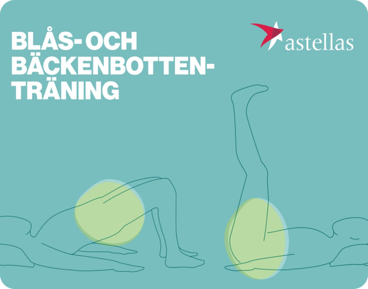 Broschyrframsida med illustrationer av övningar för blåsa och bäckenbotten, där två personer utför liggande träningsrörelser markerade med fokusområden