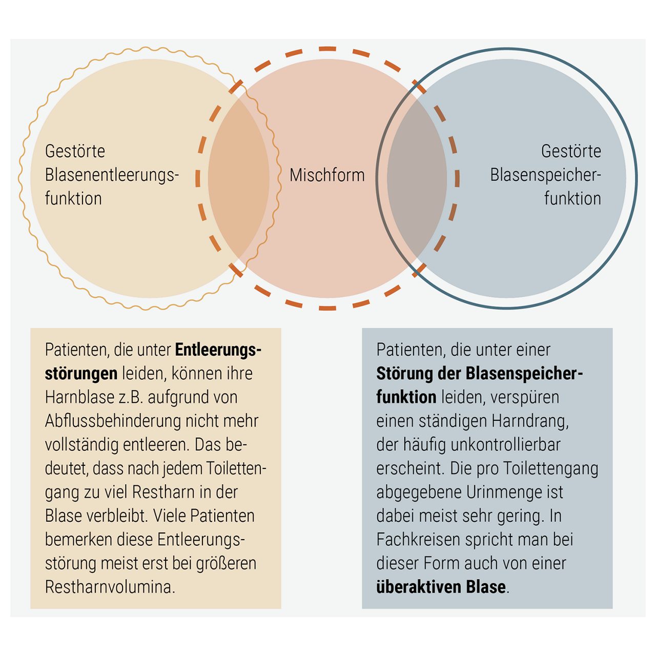 Diagramm zur Blasenfunktionsstörung
