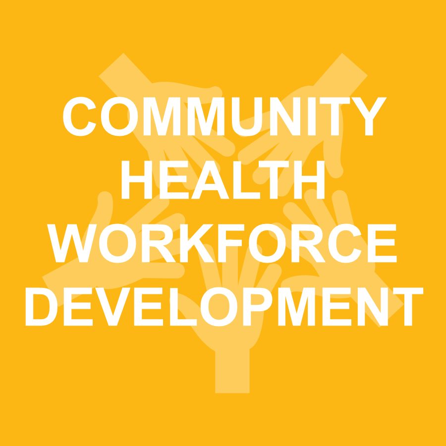 community-health-workforce-development