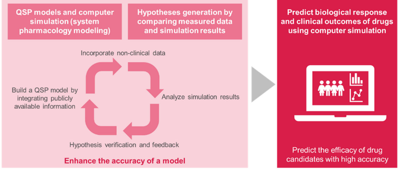 Diagram showing QSP modeling and simulation used to compare measured data and predict clinical outcomes of drug candidates.