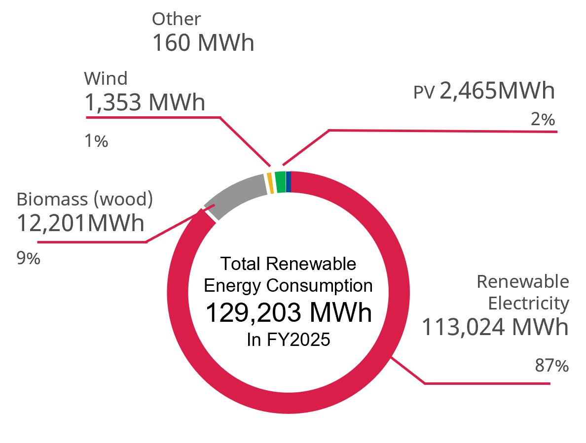 Renewable Energy Consumption