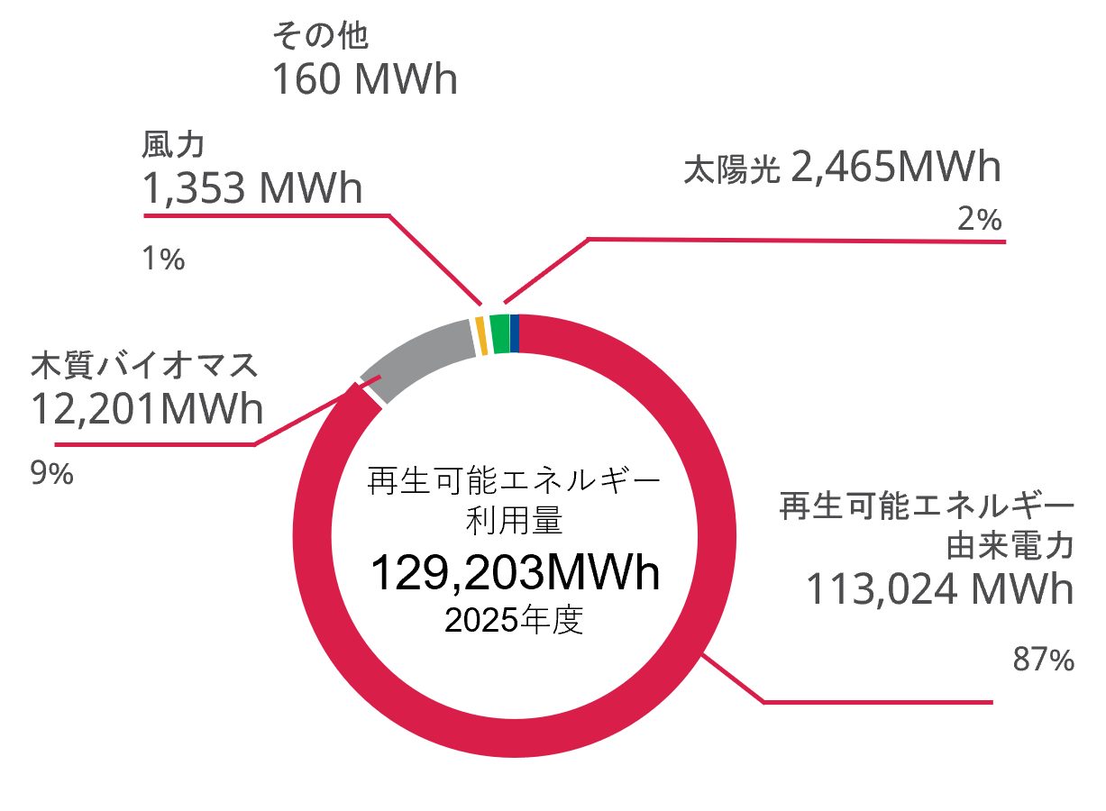 Renewable Energy Consumption