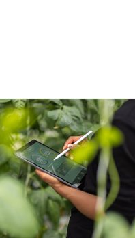 アステラスの社員がタブレット端末を使用し、環境保全に関する投資額と費用を計算しています。