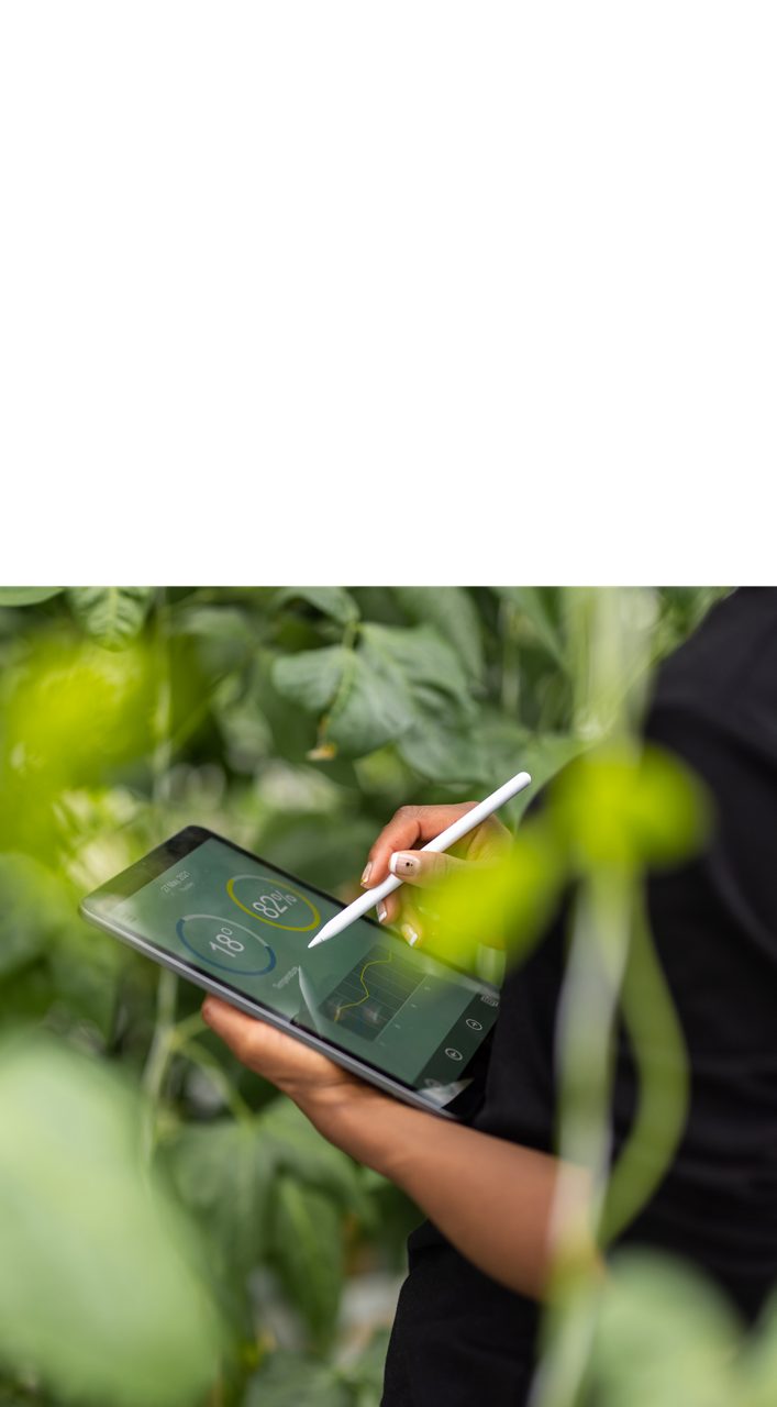 An Astellas employee works on a tablet to  calculate the costs of investment and expenses related to environmental conservation.