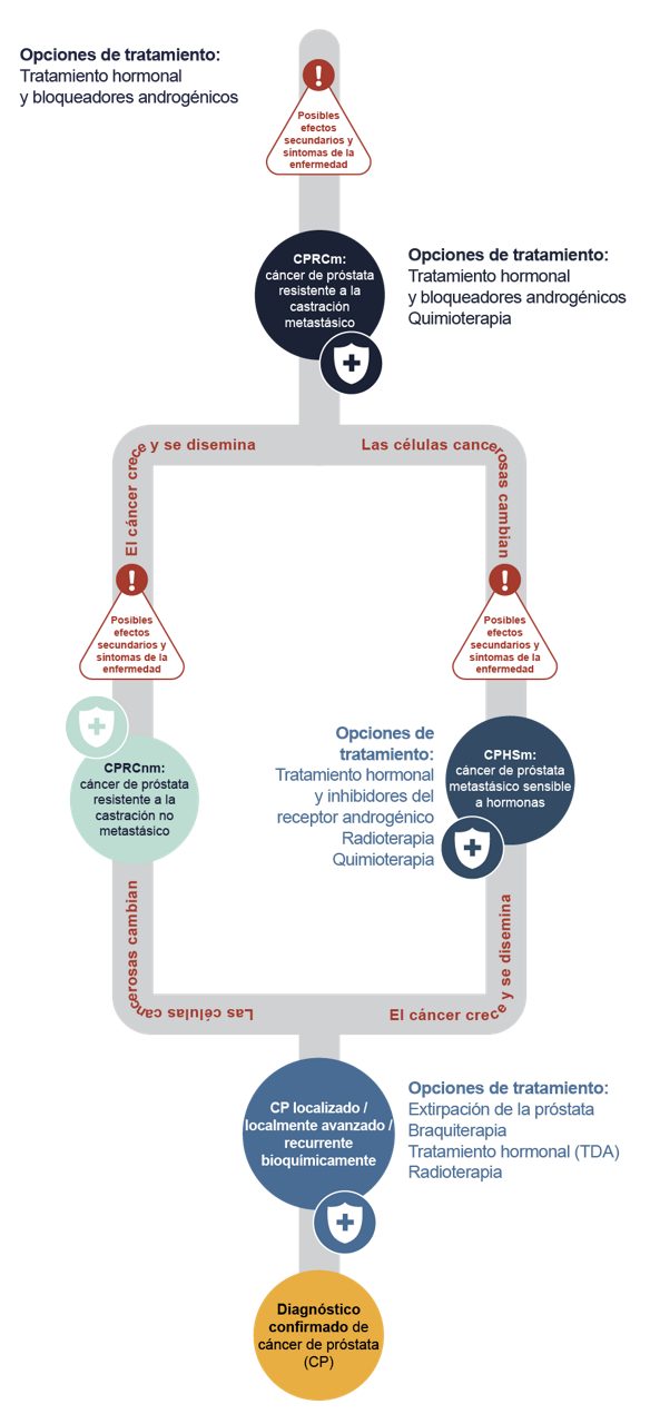 A continuación, te explicamos brevemente cada una de las etapas del cáncer de próstata y lo que significan: