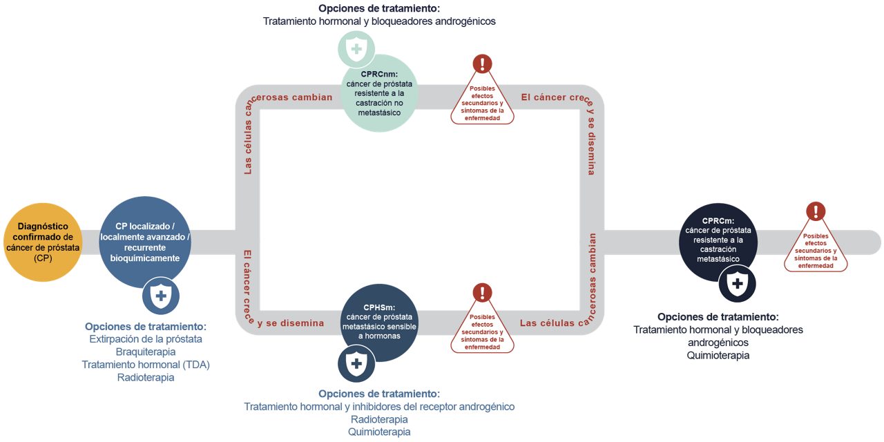 A continuación, te explicamos brevemente cada una de las etapas del cáncer de próstata y lo que significan: