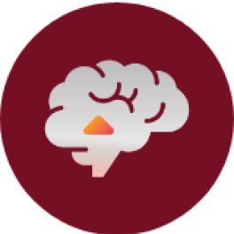 Brain icon