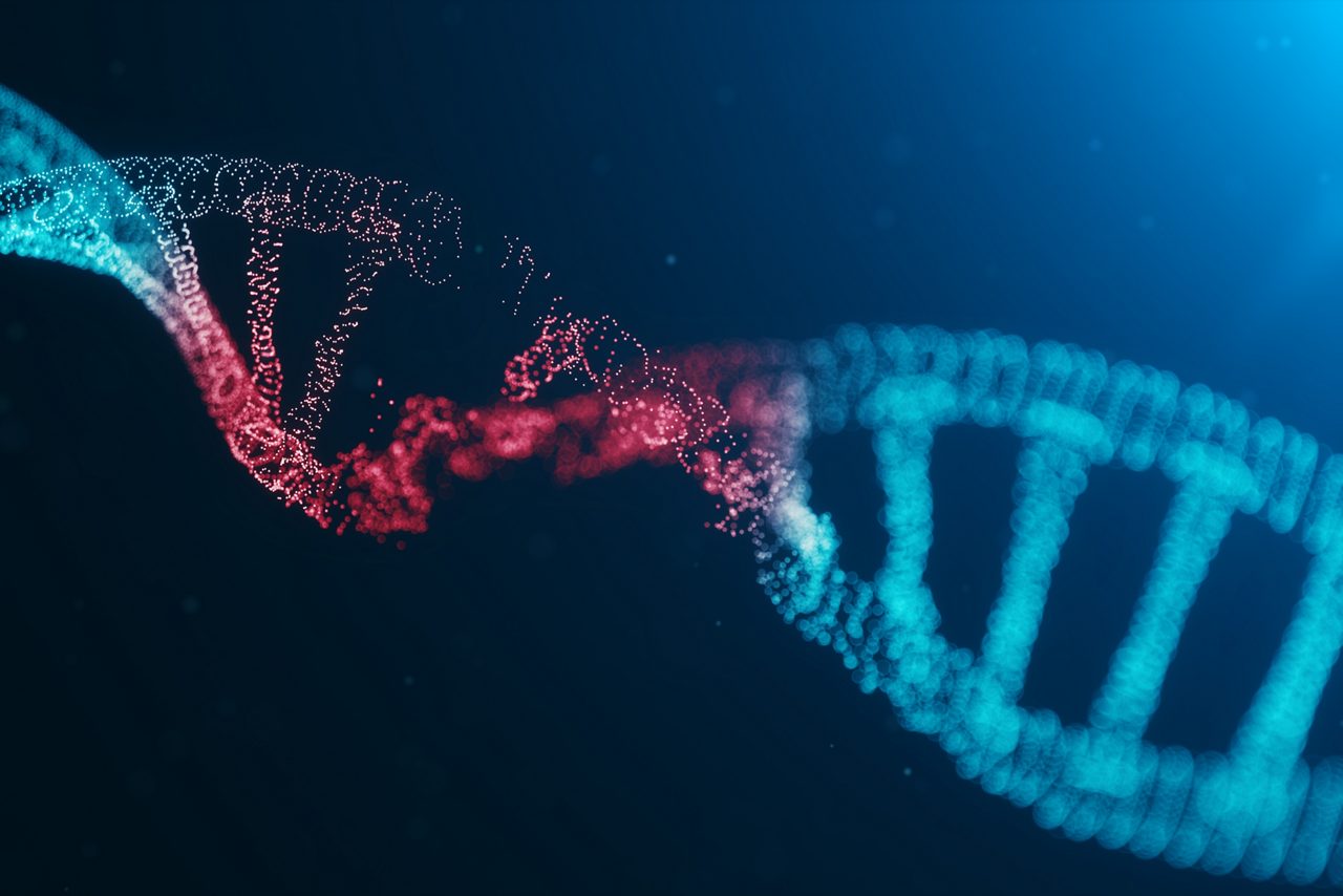 A red cell model illustrates Astellas’ focus on developing genetic medicines.