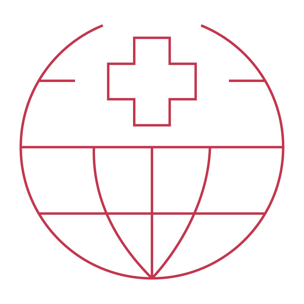  globe-icon
