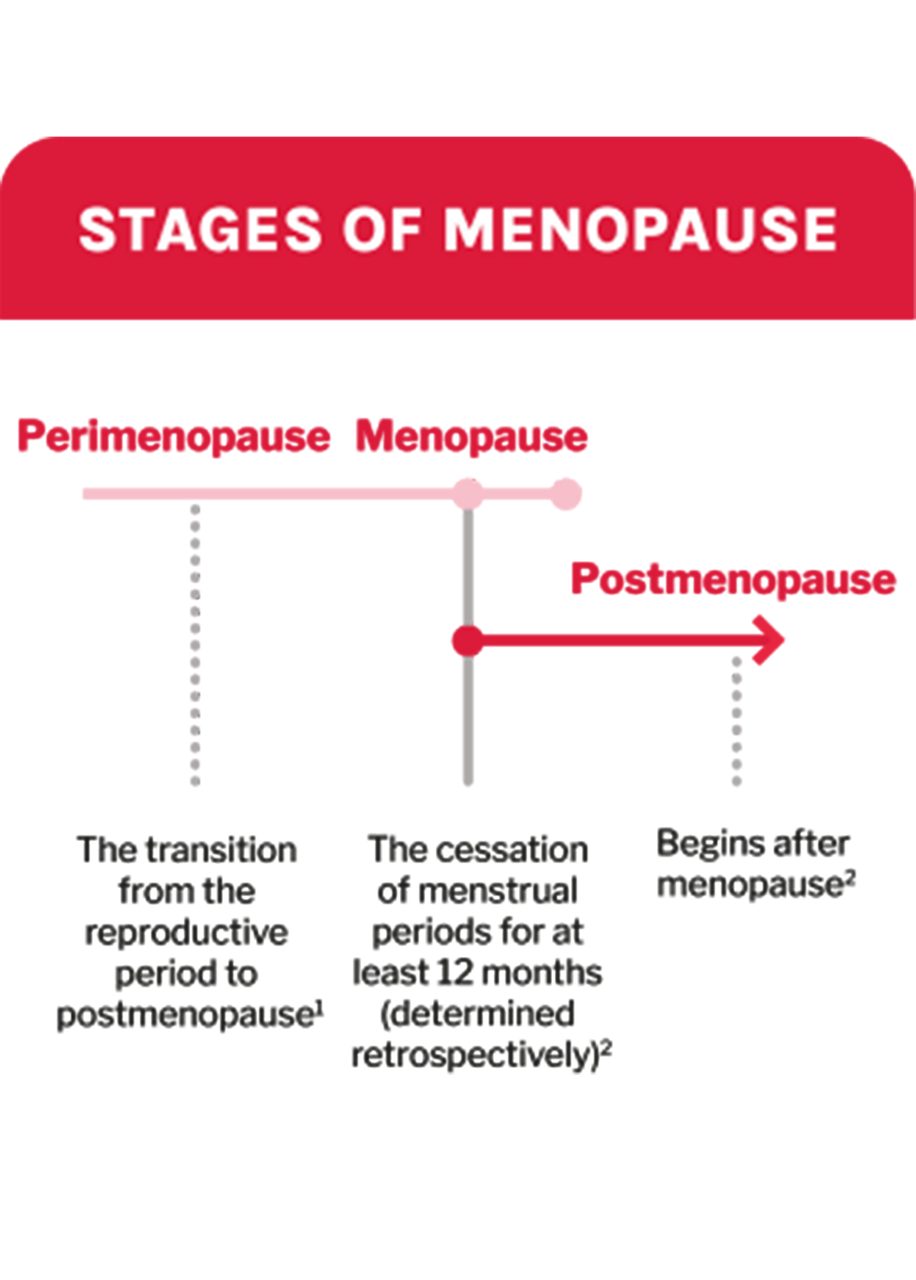 Line graph of the stages of menopause: perimenopause,  menopause, and postmenopause. 