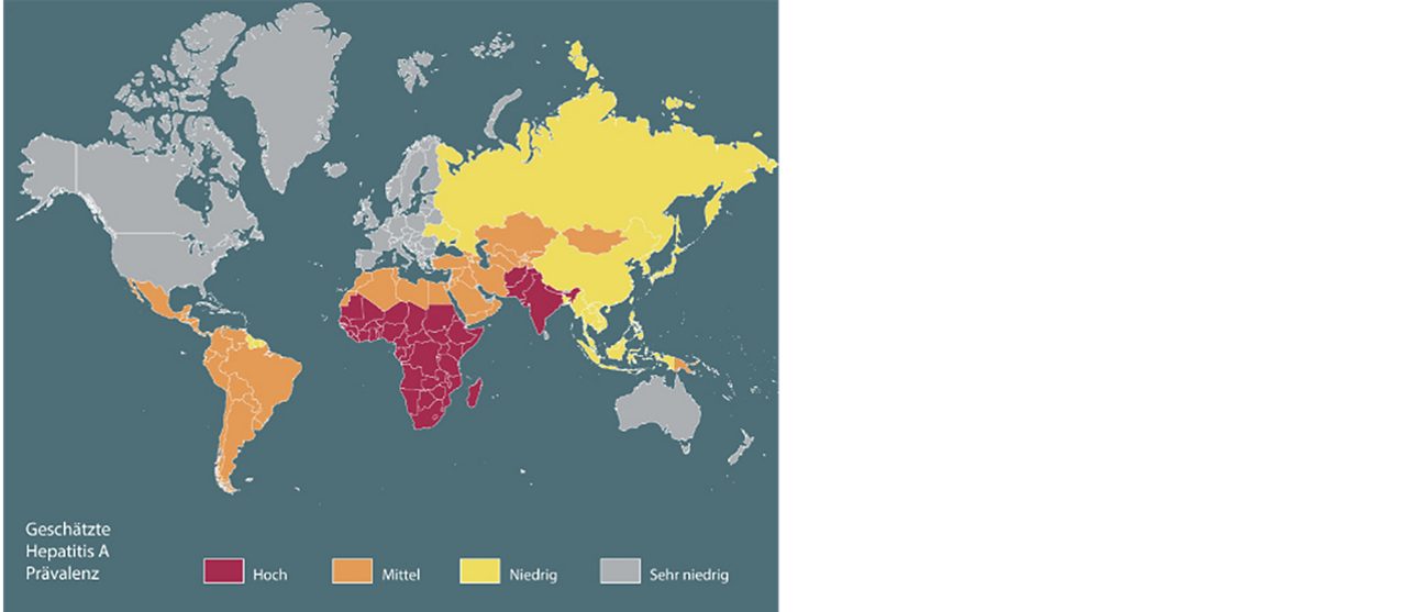 Verbreitung des Hepatitis A Virus