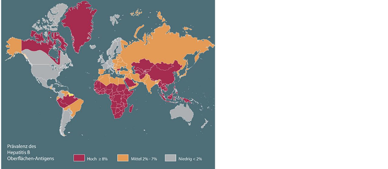 Verbreitung des Hepatitis B Virus 