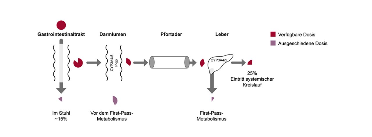 Metabolismus von Tacrolimus (modifiziert nach Cervelli M and Russ G. Aus J Pharmacy 2012; 93: 83-86)