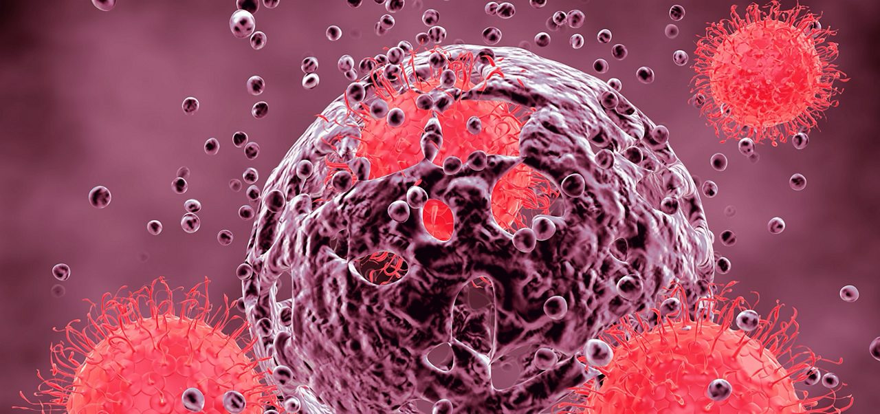 A red cell model illustrates Astellas’ commitment to understandingcancer immunology to develop the oncology medicines of tomorrow.