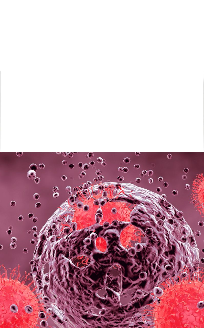 赤色の細胞モデルは、腫瘍免疫学への深い理解を活かし、明日のがん治療薬を開発することを目指したアステラスの取り組みを表しています。
