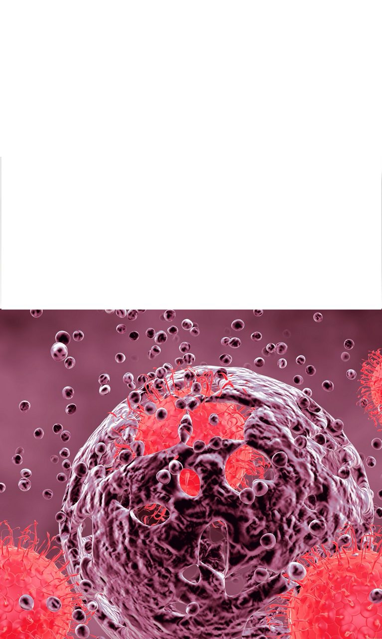 A red cell model illustrates Astellas’ commitment to understandingcancer immunology to develop the oncology medicines of tomorrow.