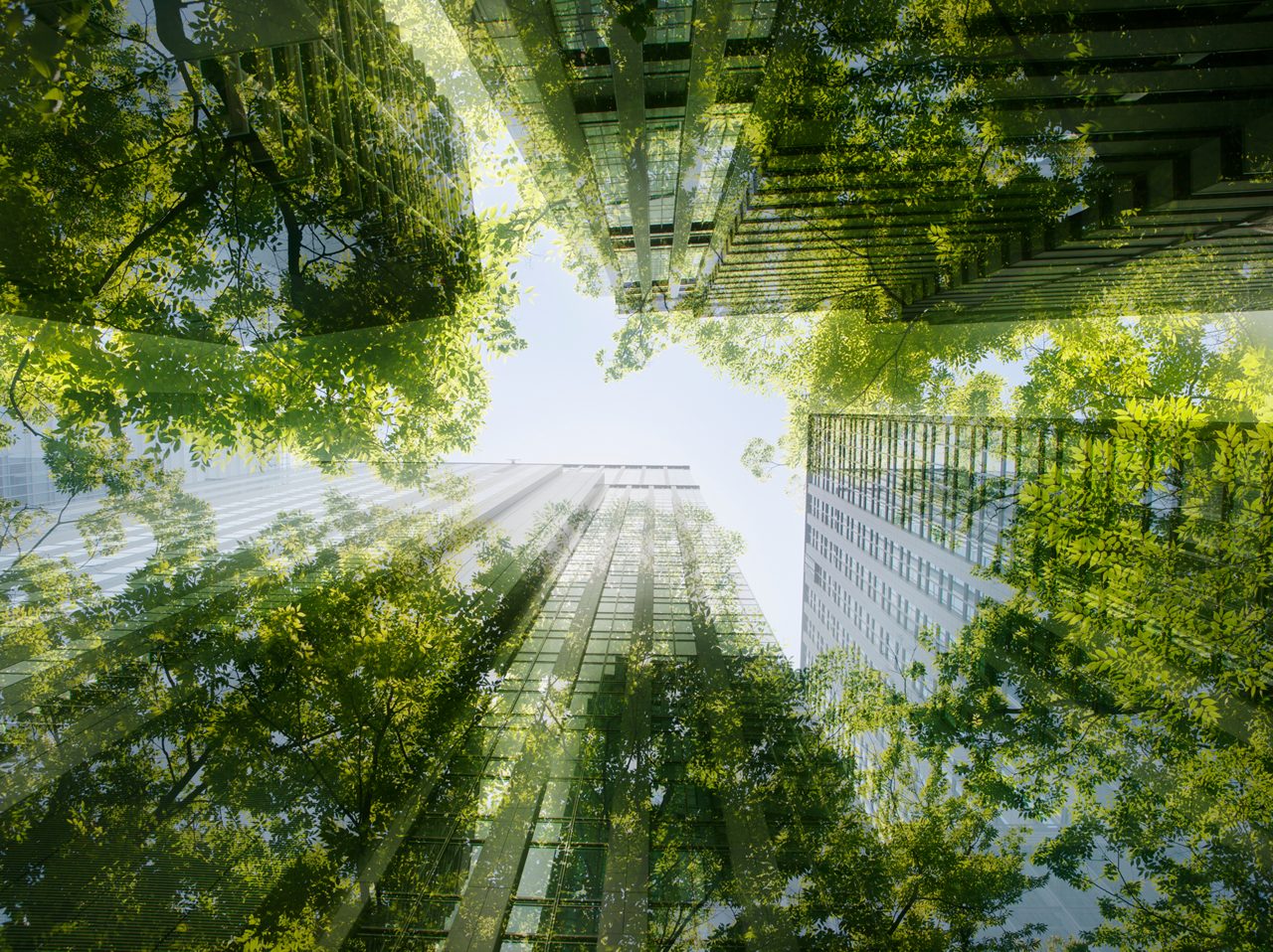 A street view of skyscrapers fading into trees