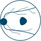 Small Baseline Lesions