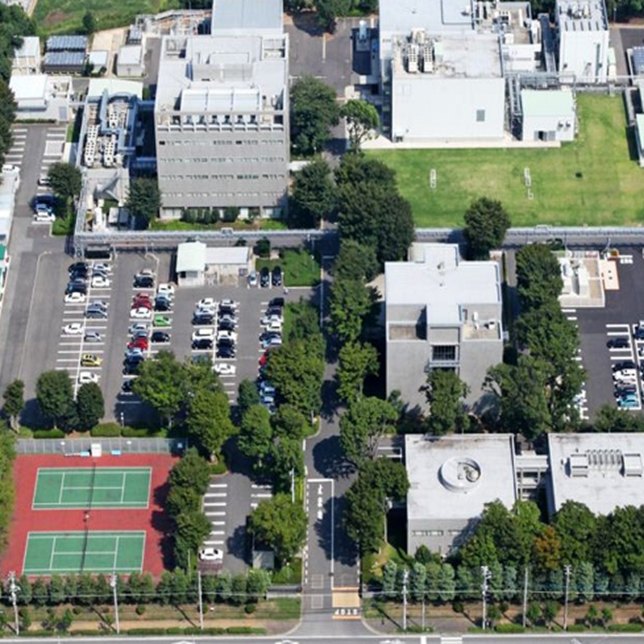 Tsukuba