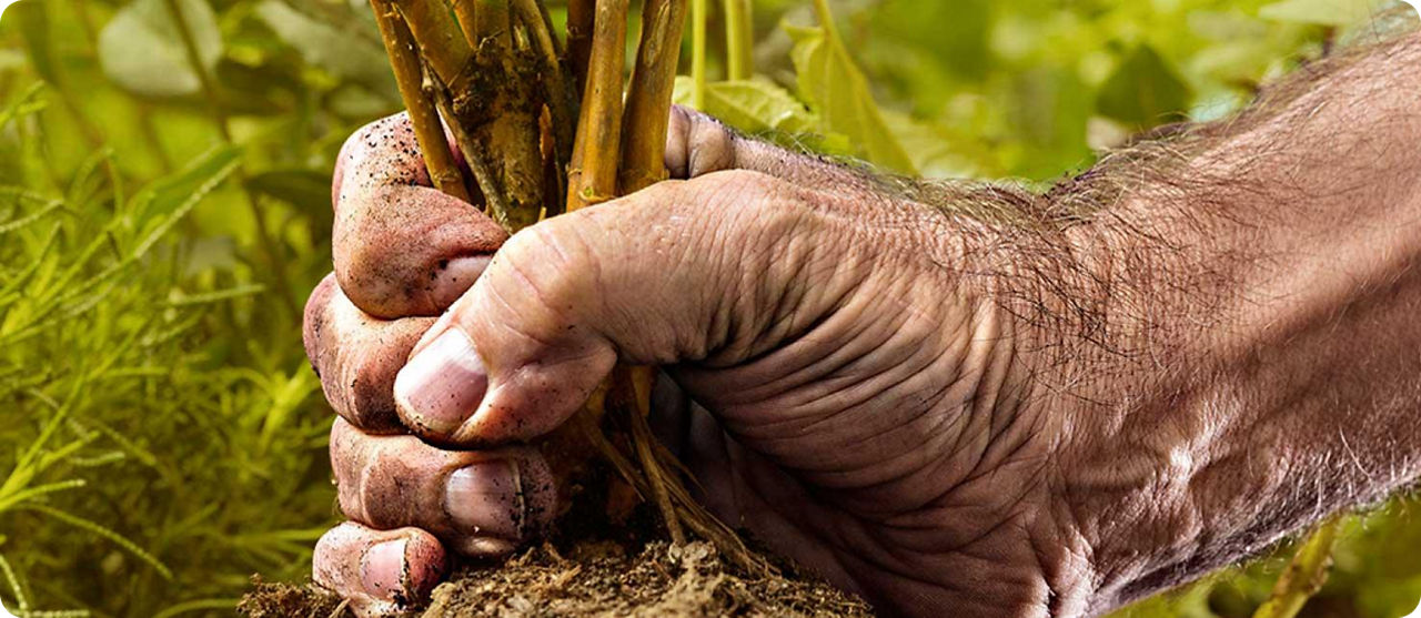 Diagnose Prostatakrebs