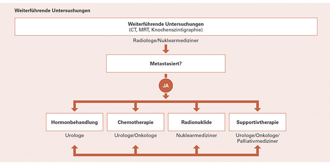 Hormonresistente Tumoren, die nicht mehr auf eine Hormonentzugstherapie reagieren