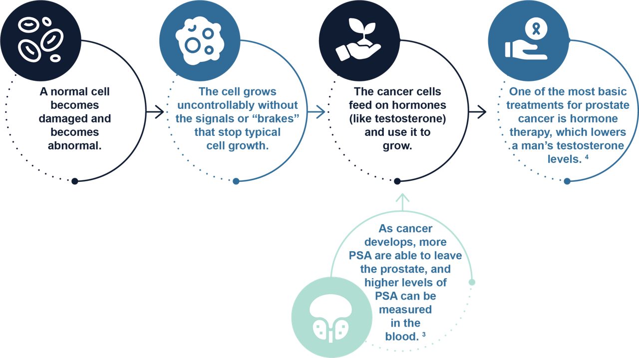 Prostate Cancer