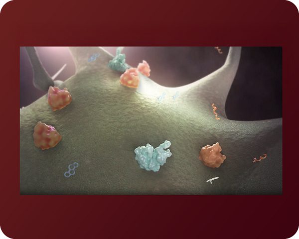 The front of the Burden of VMS  flashcard