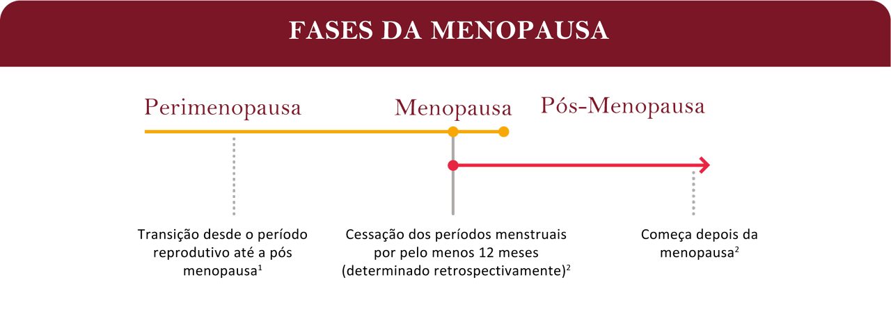 Gráfico lineal de las etapas de la menopausia: perimenopausia, menopausia y posmenopausia.