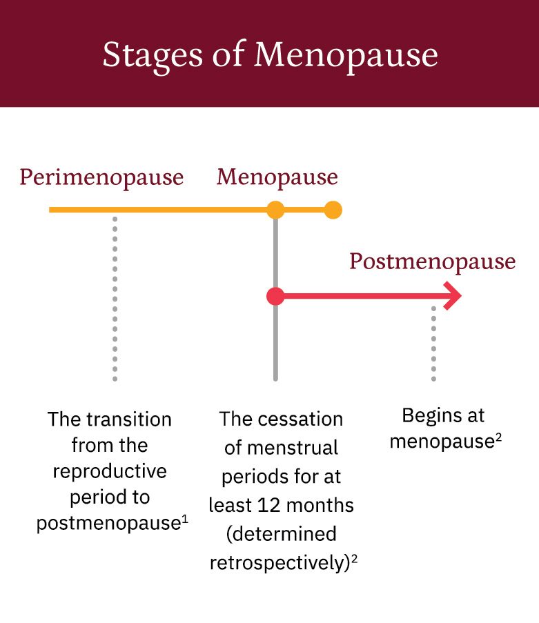 About Menopause KnowVMS