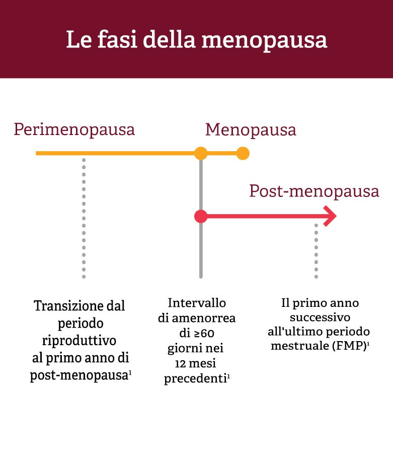 Grafico lineare delle fasi della menopausa: perimenopausa, menopausa e postmenopausa. 