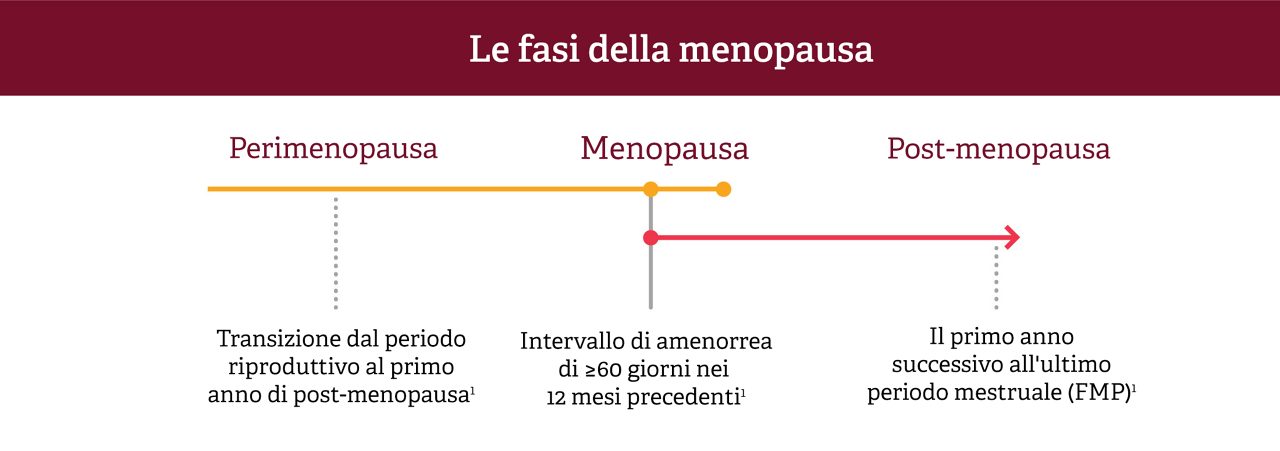 Grafico lineare delle fasi della menopausa: perimenopausa, menopausa e postmenopausa. 