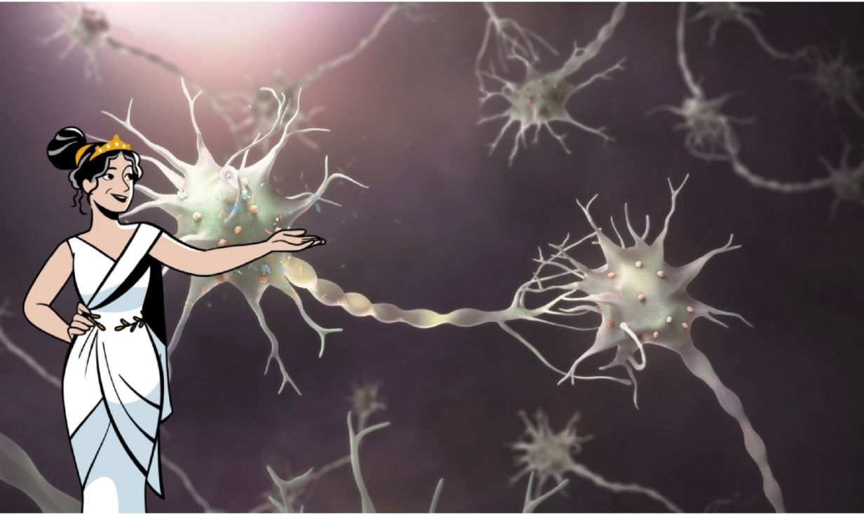 A look at a KNDy neuron