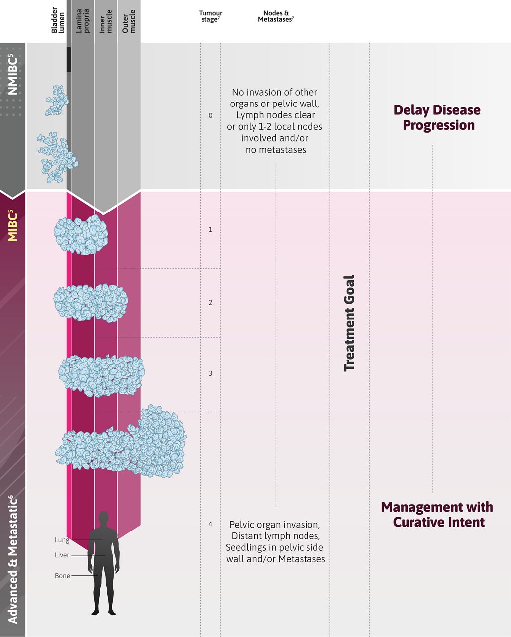Advanced & Metastatic Mob